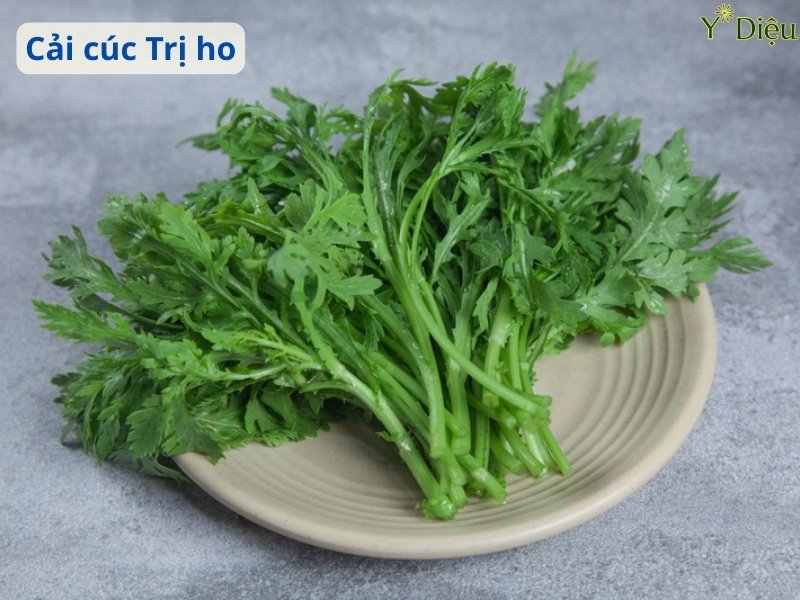 Cách Trị Ho Bằng Cải Cúc Tại Nhà&nbsp;Hiệu Quả An Toàn Lành Tính
